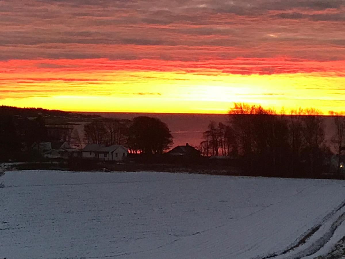 Ny Leilighet I Nevlunghavn Larvik Exterior foto